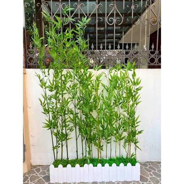 Set 30 cây trúc độ cao từ 120cm đến 200cm