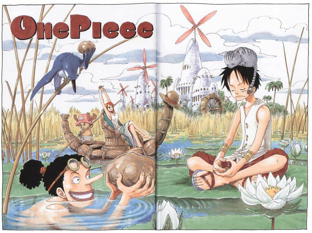 tổng hợp vua cướp biển ảnh màu chính gốc chapter 5 2