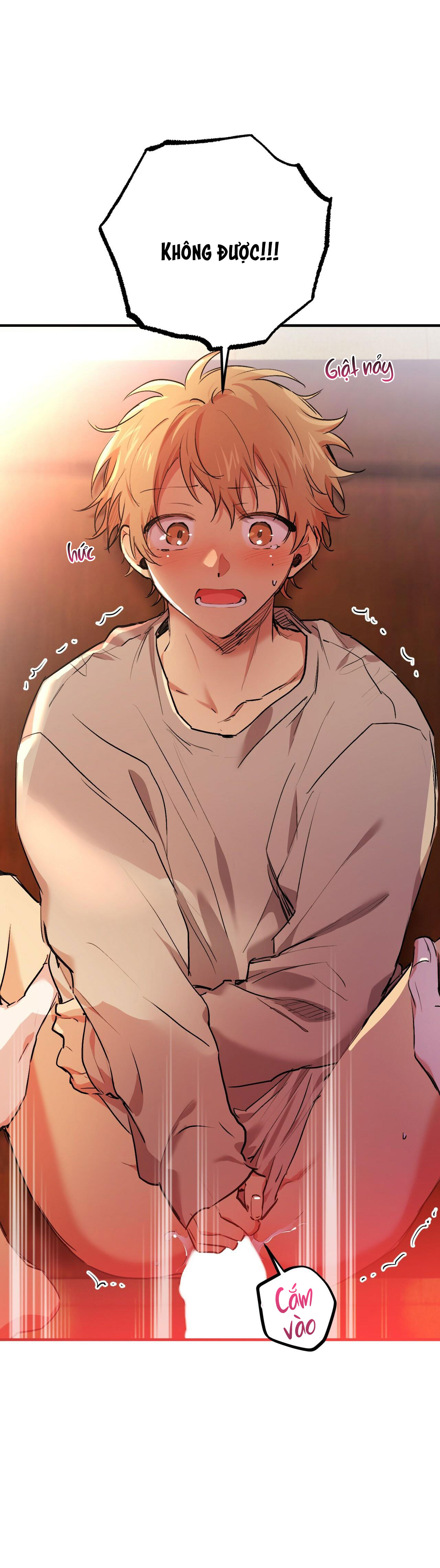 những chú thỏ của hapypy chapter 33 31