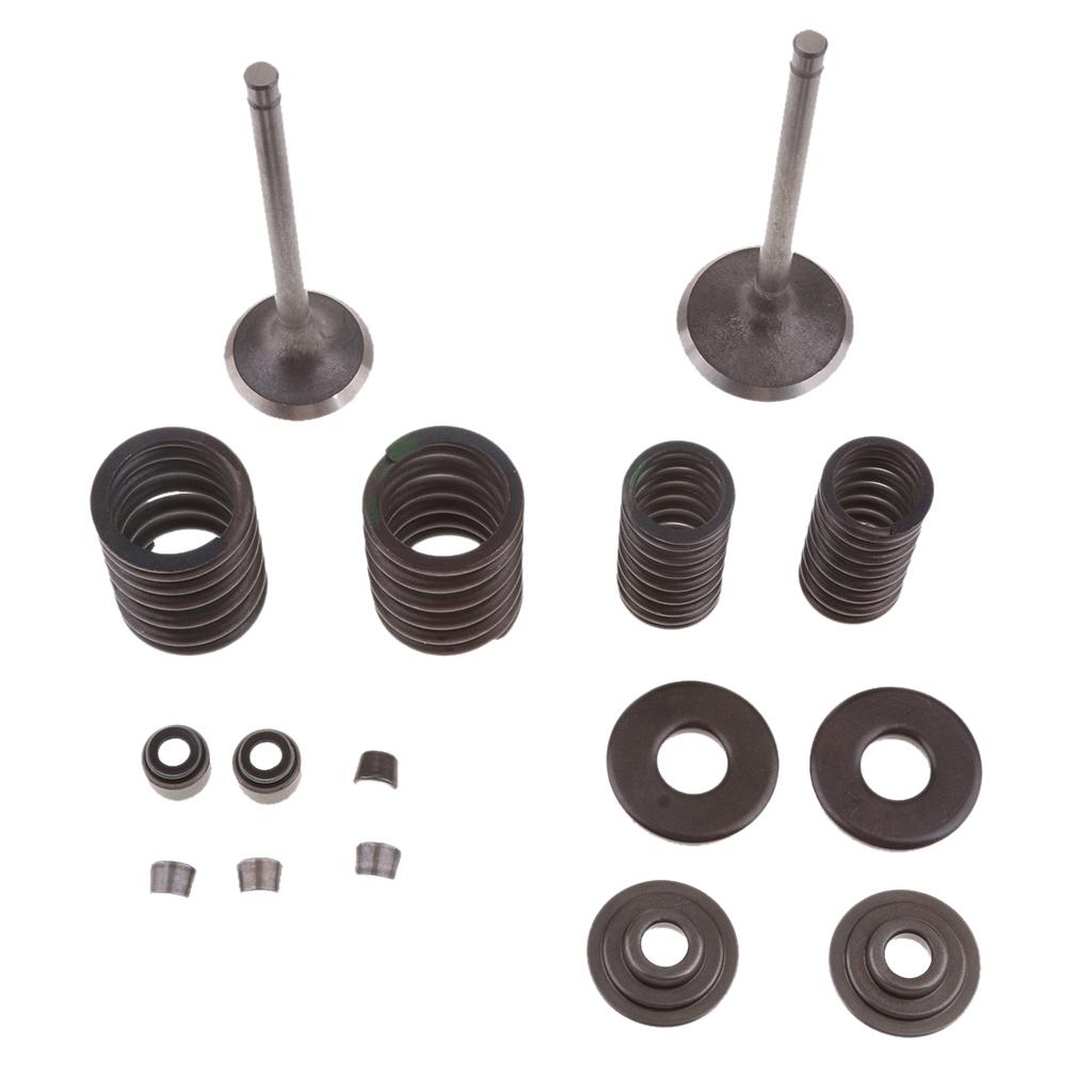 250cc Engine Intake Exhaust Valve Assembly Kit for Scooter ATV CF250