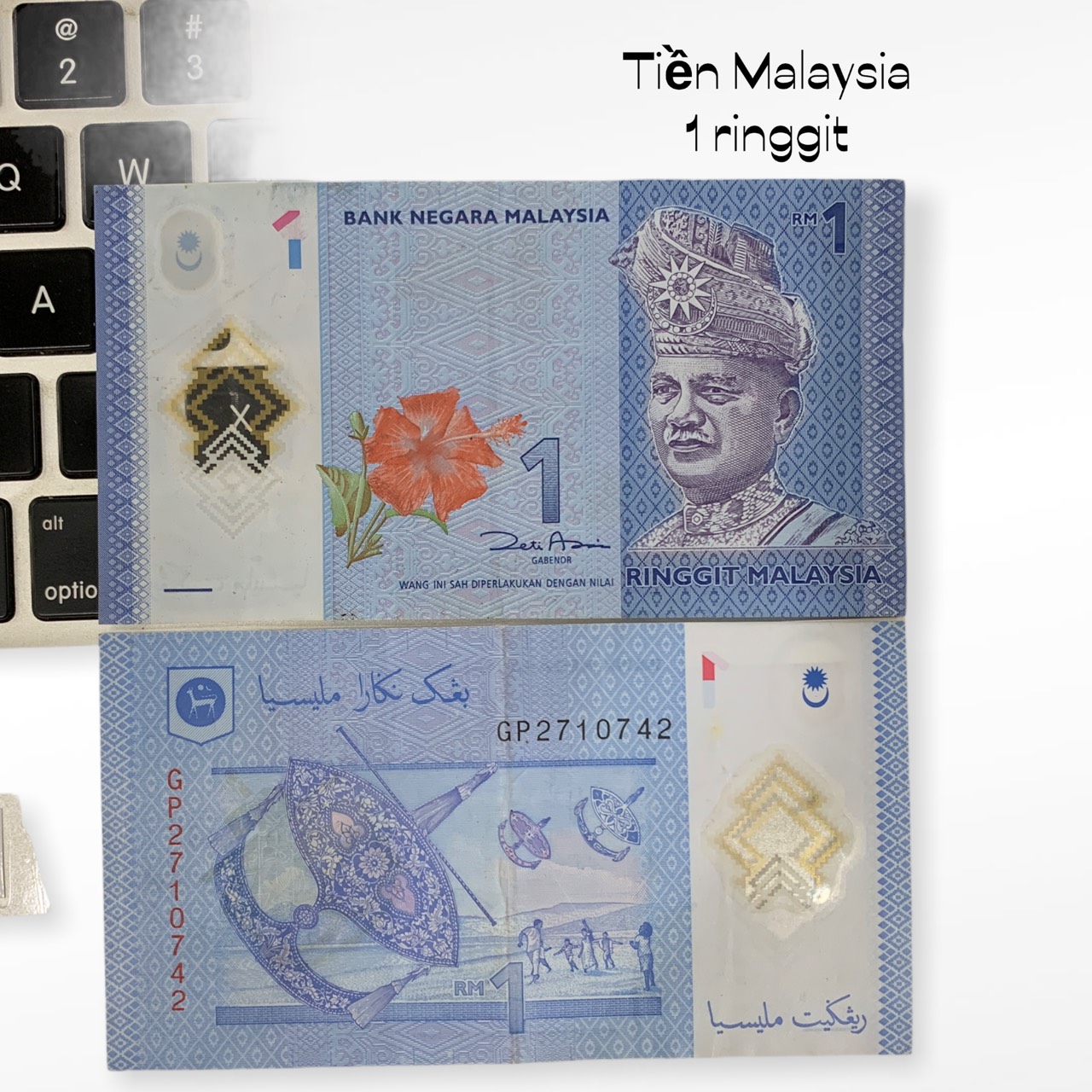 Tiền Malaysia 1 Ringgit polyme sưu tầm , tiền châu Á.