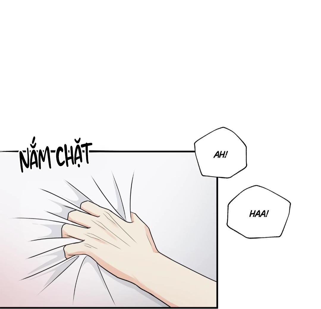 hạnh phúc trọn vẹn chapter 23 1