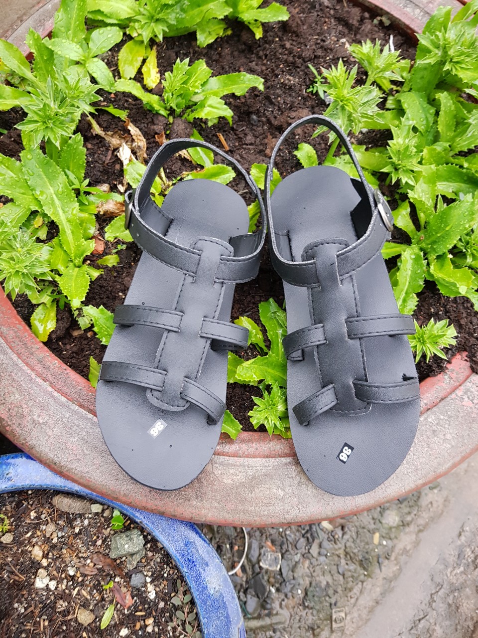 Dép sandal nữ size từ 34 nữ đến 42 nữ đủ màu đủ size