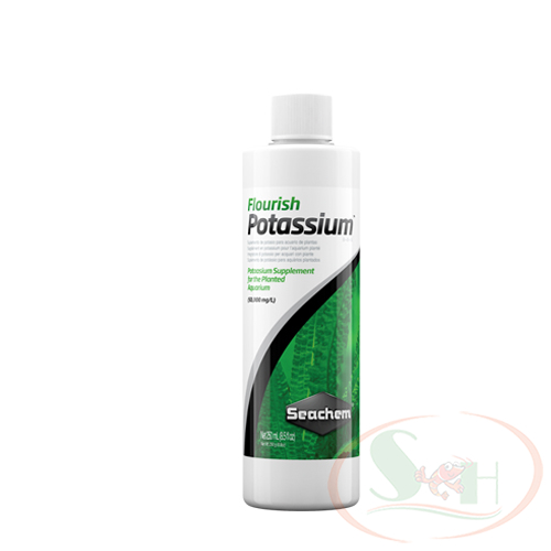 Phân nước Seachem Flourish Potassium 100ml, 250ml, 500ml bổ sung kali kích rễ dưỡng thân cây thủy sinh