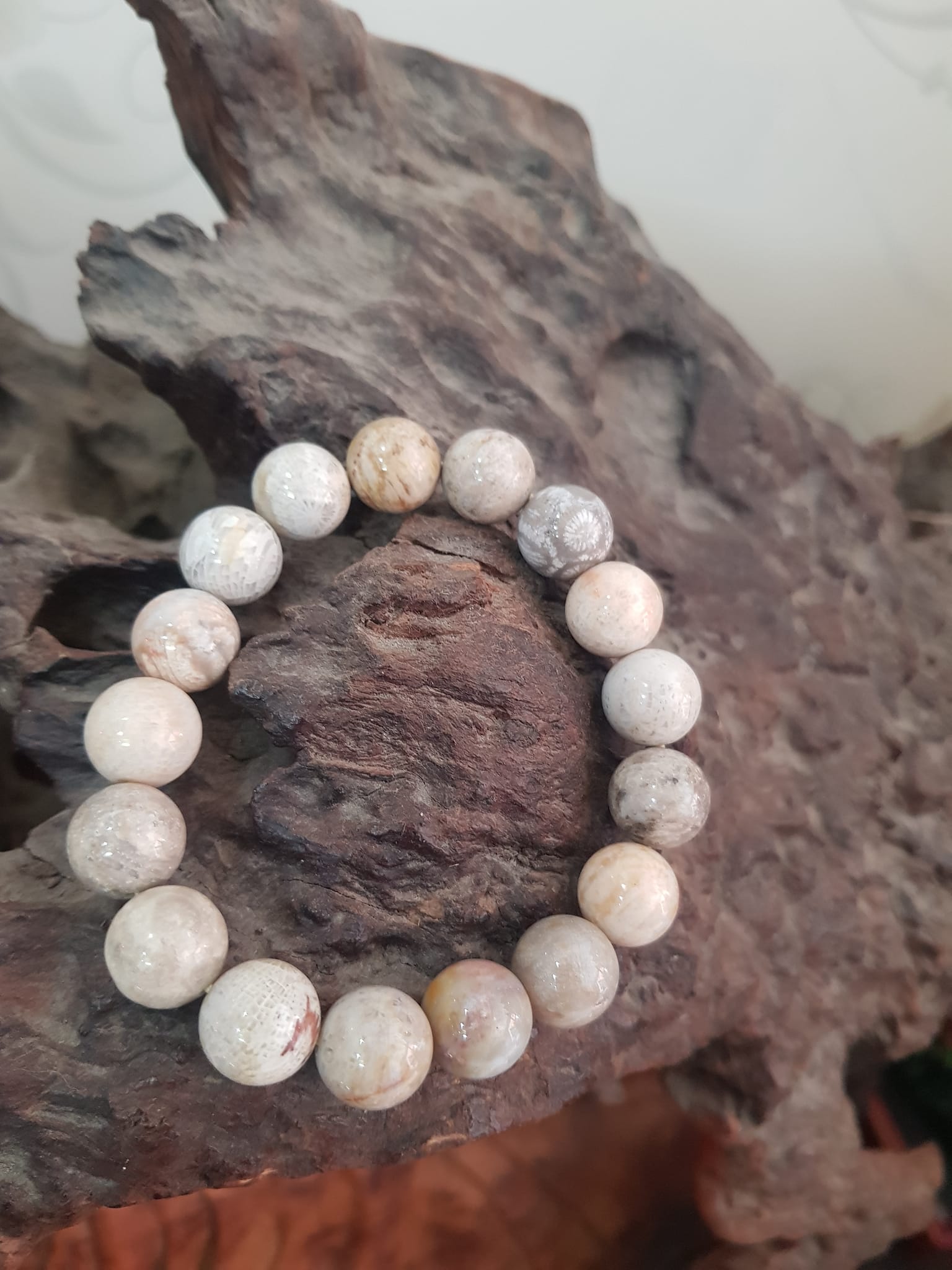 Vòng san hô hóa thạch hiếm 12mm 17 hạt đẹp size vòng 12ly 17 hạt cung sanh Anh Chị đeo đẹp Màu đẹp như bông hoa vân trắng vàng nâu vân bóng đẹp lạ sang tay lắm luôn ạ