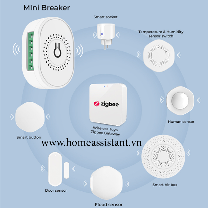 Module Công Tắc Zigbee Tuya 16A Cho Công Tắc Cơ ZMC16 (Hỗ trợ Home Assistant)