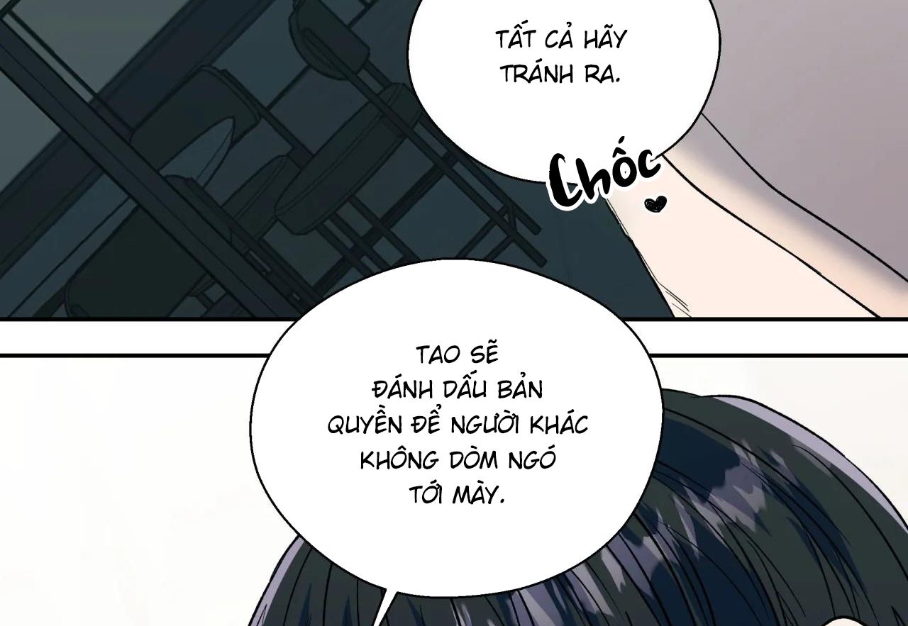 ám ảnh pheromone chapter 44 52