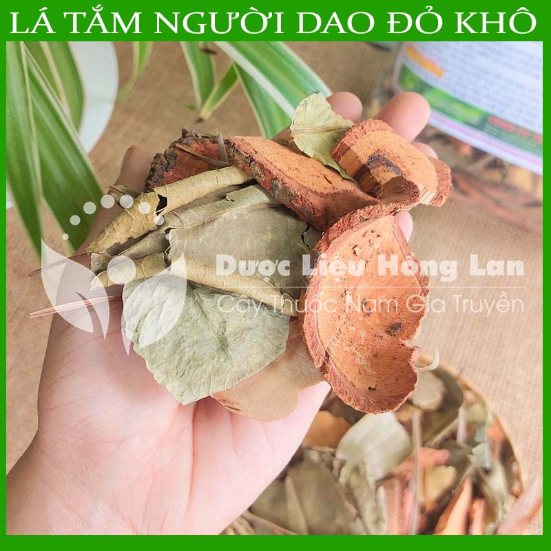 Lá Tắm Người Dao Đỏ khô sạch đóng gói 500gram