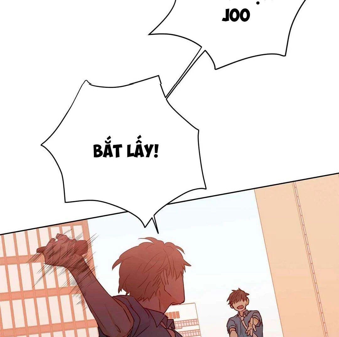 guide cấp b chapter 27 33