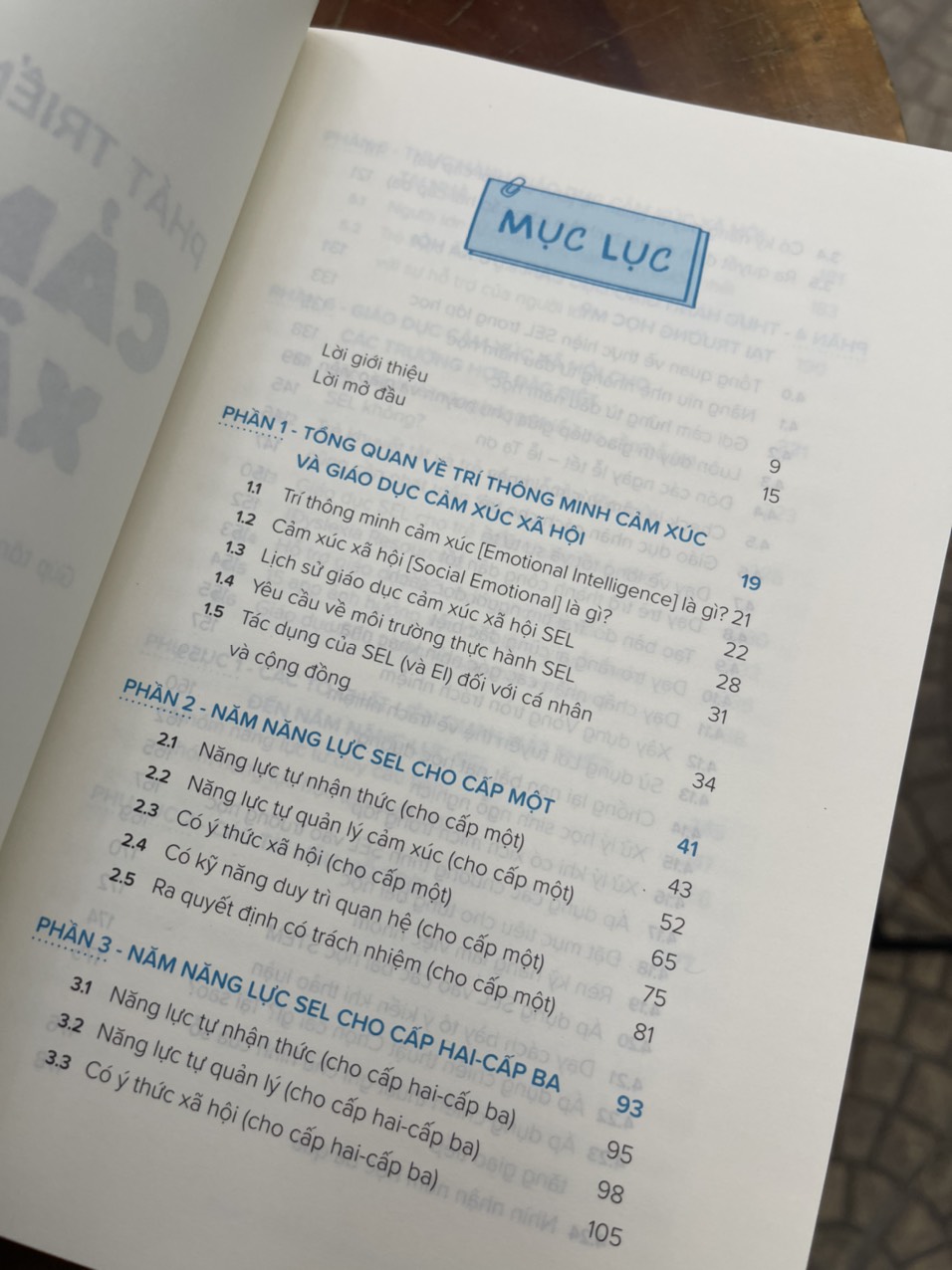 PHÁT TRIỂN NĂNG LỰC CẢM XÚC XÃ HỘI - Giúp tăng trưởng EQ, thúc đẩy thành công - Hong Dinh – Nhã Nam