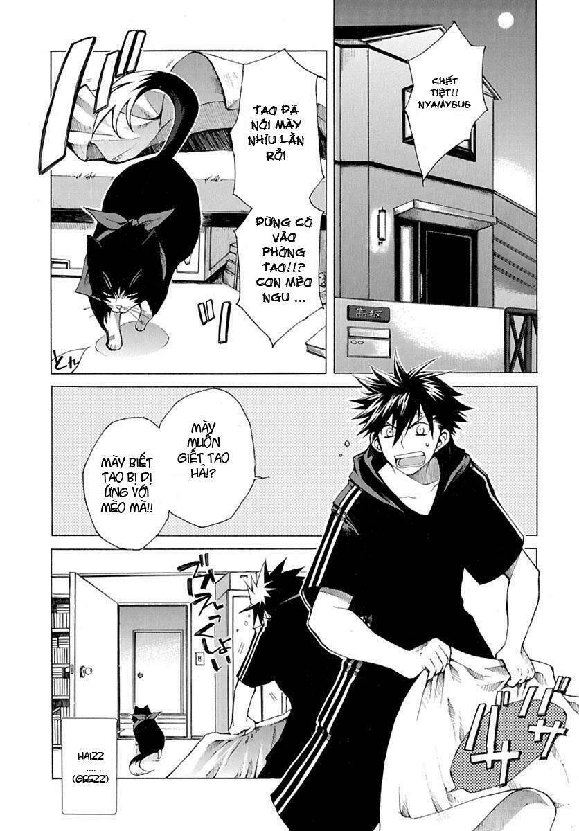 nyankoi! chapter 1 1