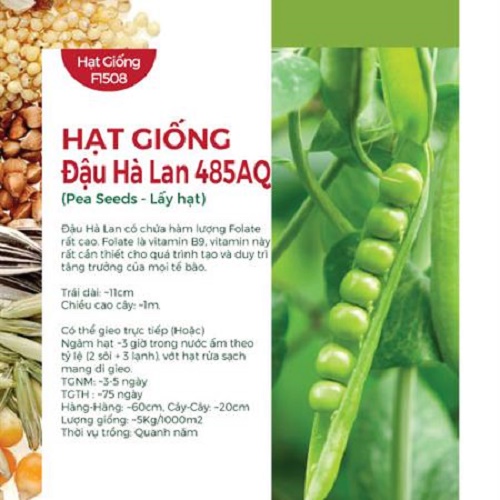 Hạt Giống Đậu Hà Lan (10gr)