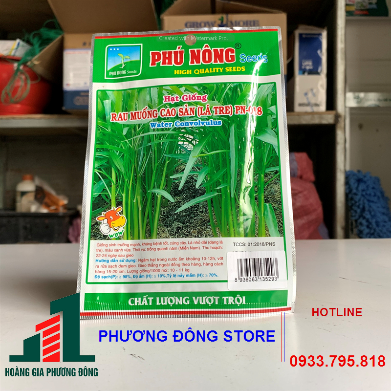 Combo 5-10 gói hạt giống rau muống chịu nhiệt, dễ trồng, năng suất cao