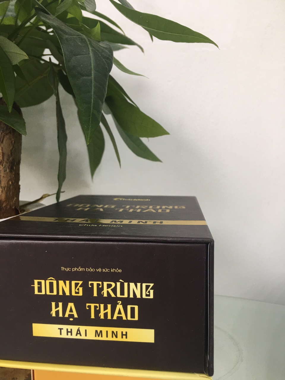 Đông trùng hạ thảo Thái Minh- Bồi bổ cơ thể, tăng cường sức khỏe