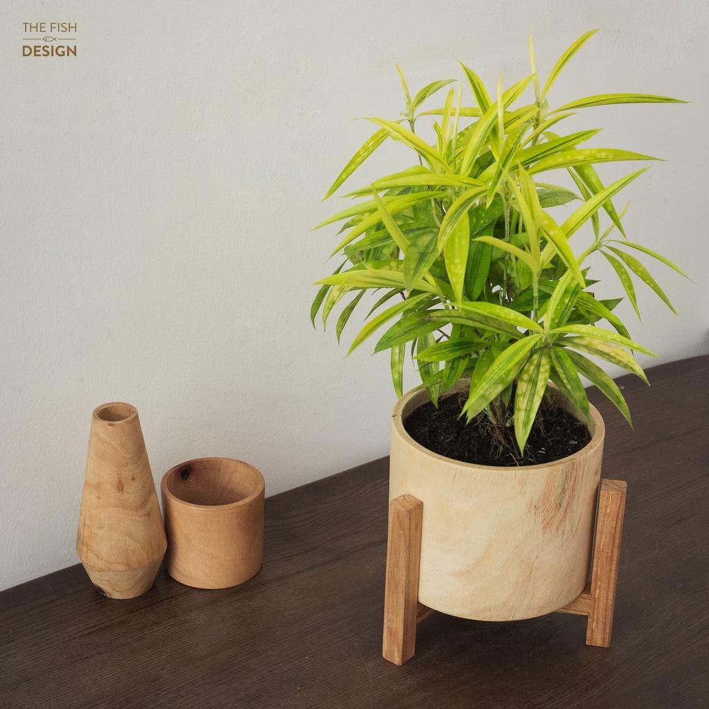 Chậu cây trúc nhật | THE FISH DESIGN size LS