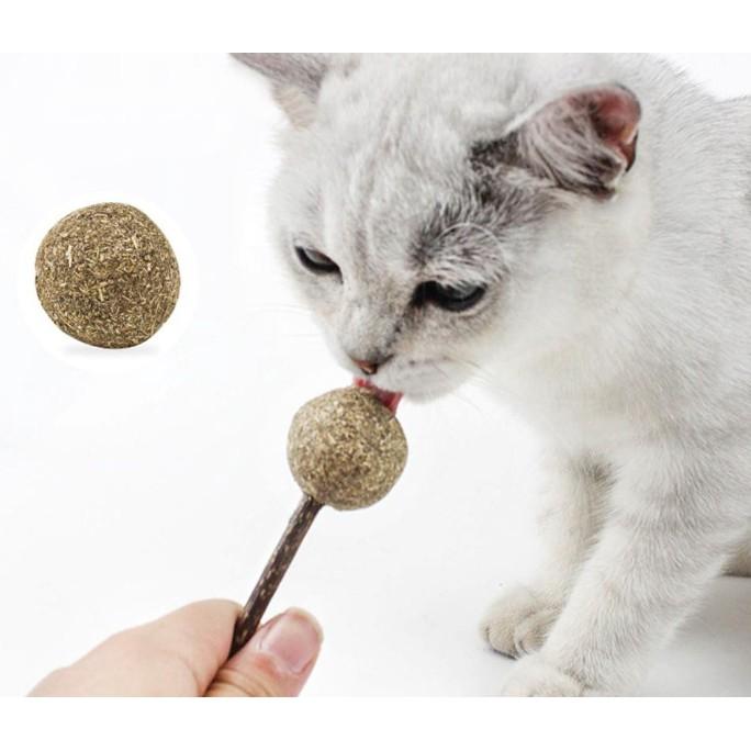 Đồ chơi kẹo mút que catnip cho mèo - Cỏ bạc hà liếm là mê