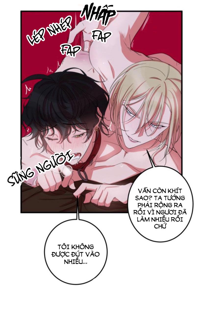 khẩu vị và sự tôn thờ của người yêu tôi chapter 5 4