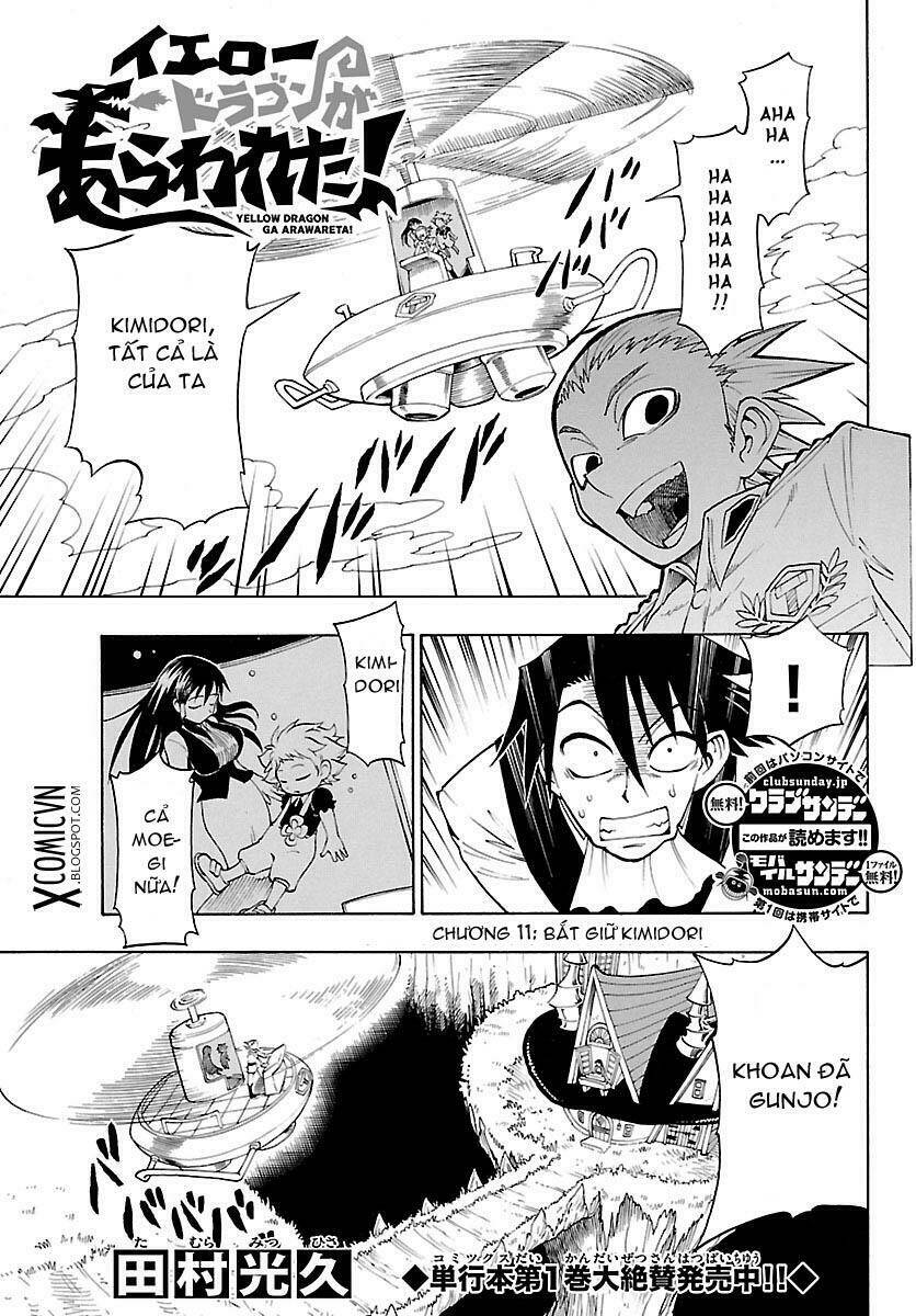 appearance of the yellow dragon chapter 11 2