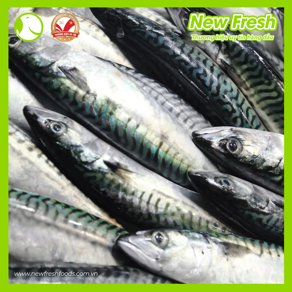 Cá Saba Nauy Nguyên Con Thịt Thơm Ngon Béo Ngậy - Túi 1Kg