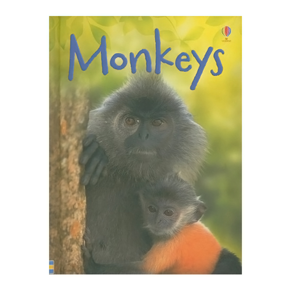 Usborne Beginners Boxed Set: Animals