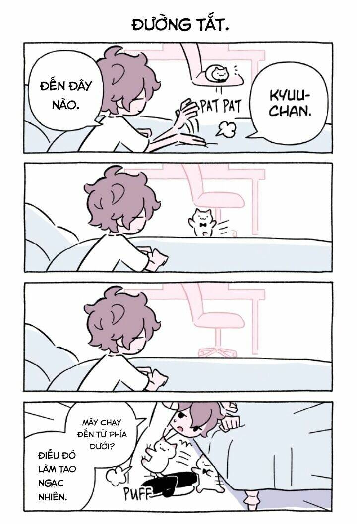 chú mèo kỳ diệu kyuu-chan chapter 665 3