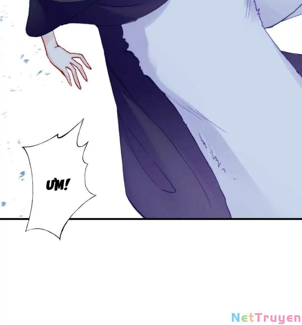 lại bị bệnh chiều chuộng quấn lấy chapter 65 56