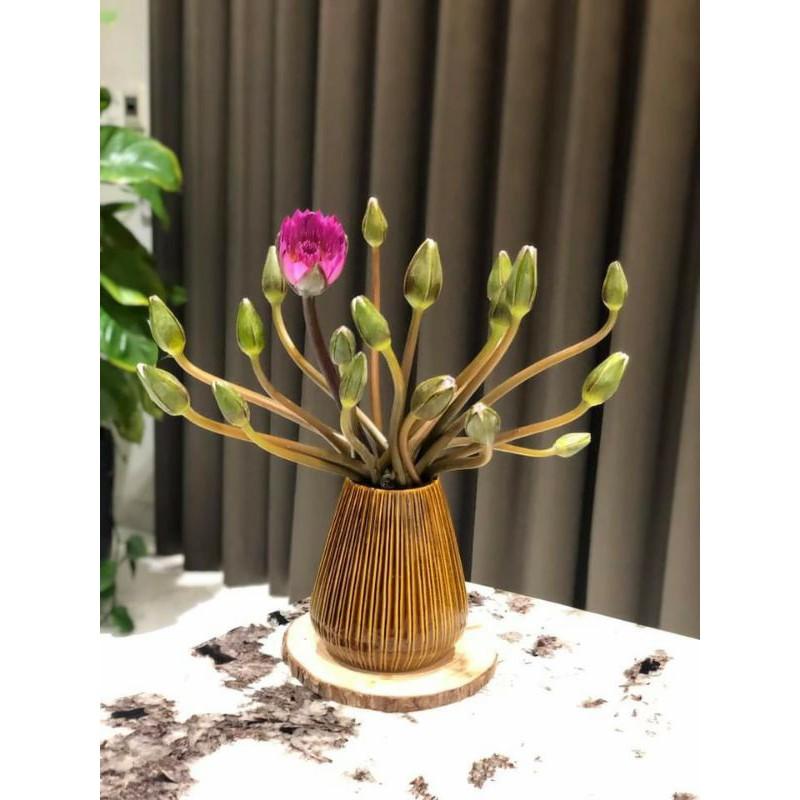 Lọ hoa dòng hỏa biến