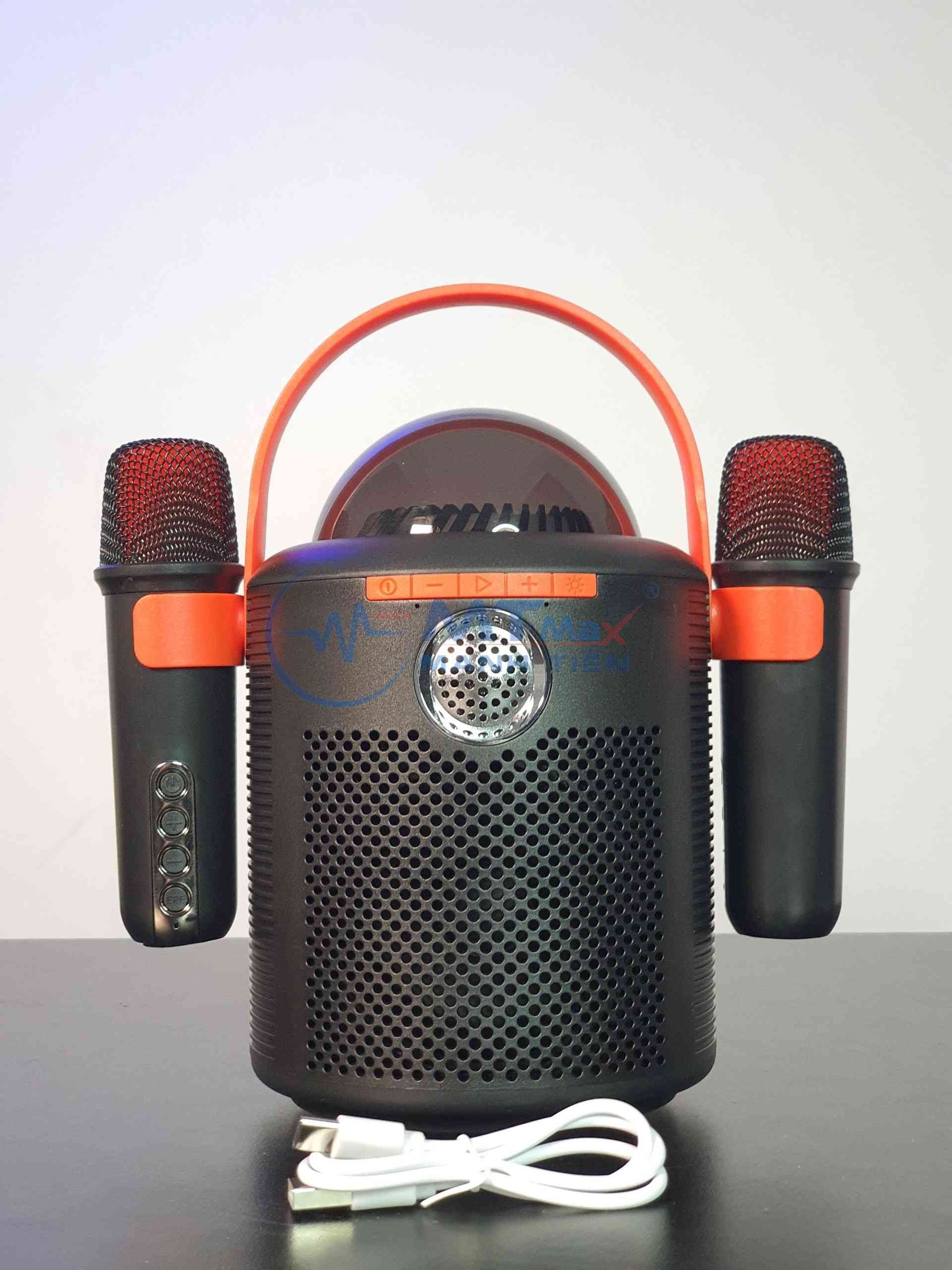Loa Karaoke Bluetooth Y11 kèm 2 micro thiết kế độc đáo sang trọng