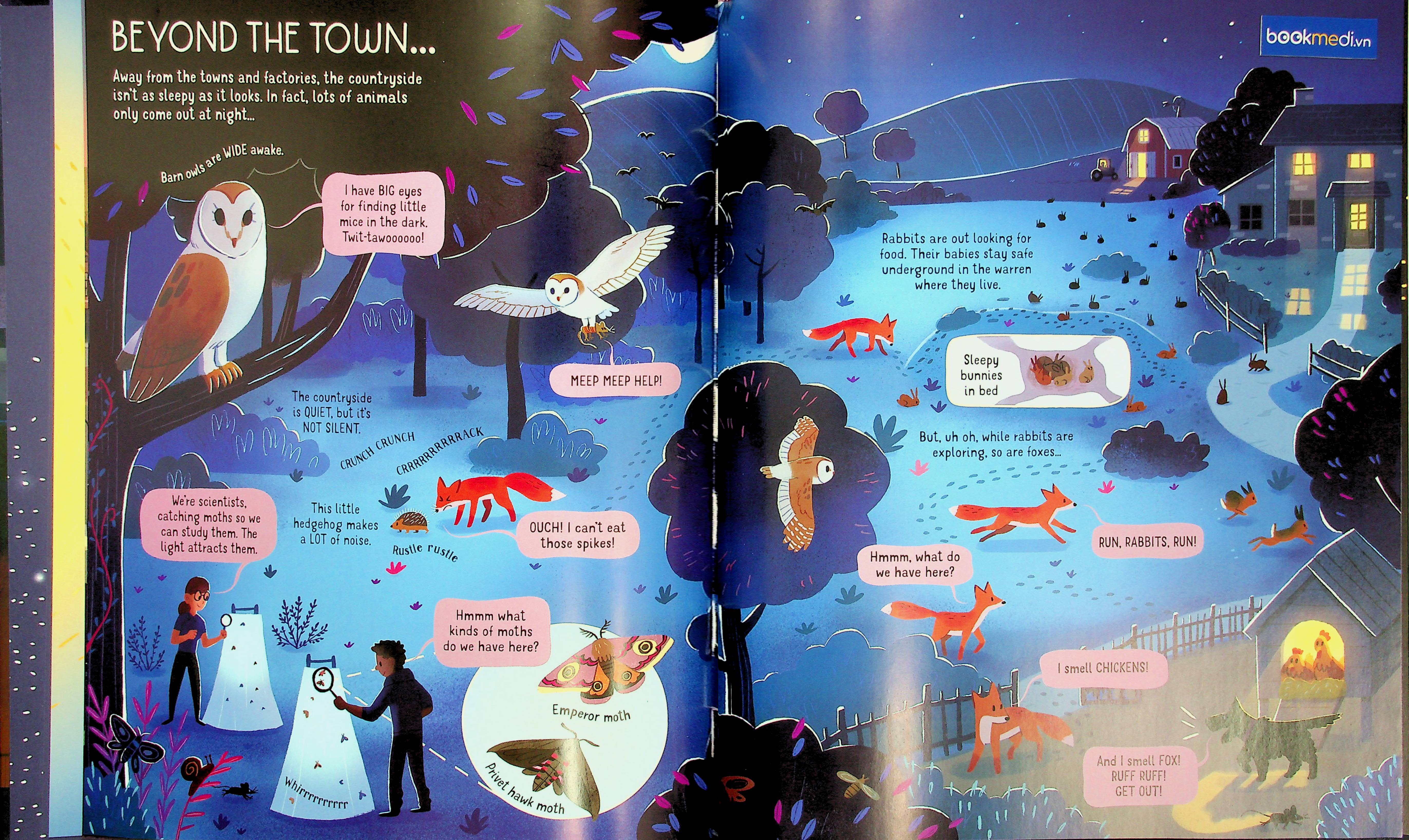 SÁCH TIẾNG ANH CHO BÉ - The Usborne Book of Night Time