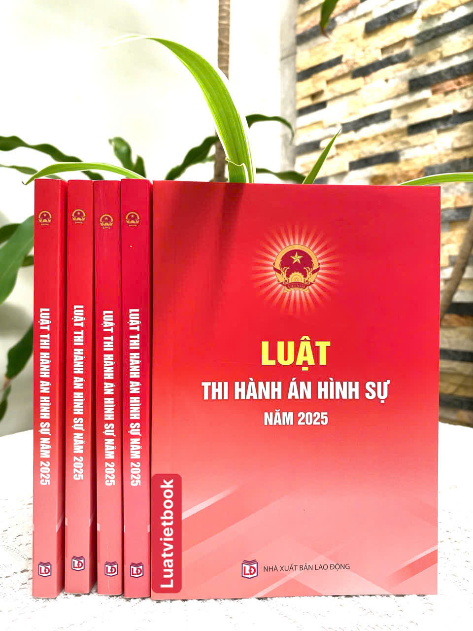 Luật Thi Hành Án Hình Sự Năm 2025