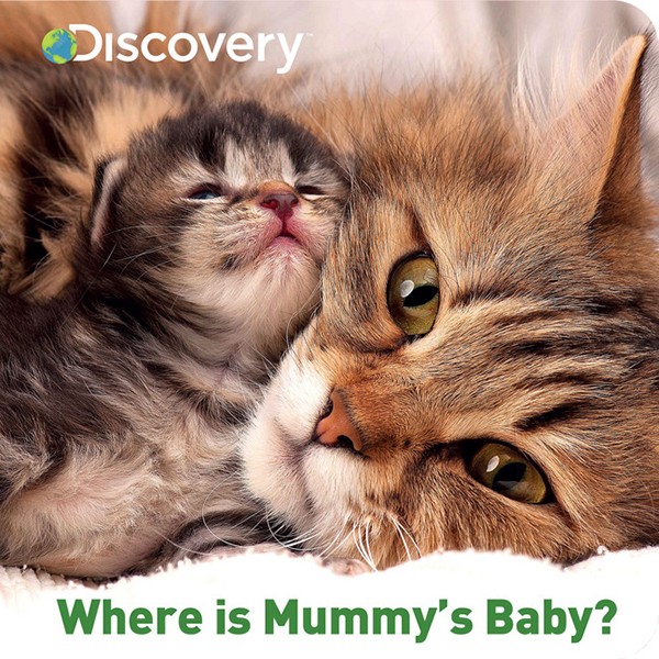 Discovery Where is Mummy's Baby?