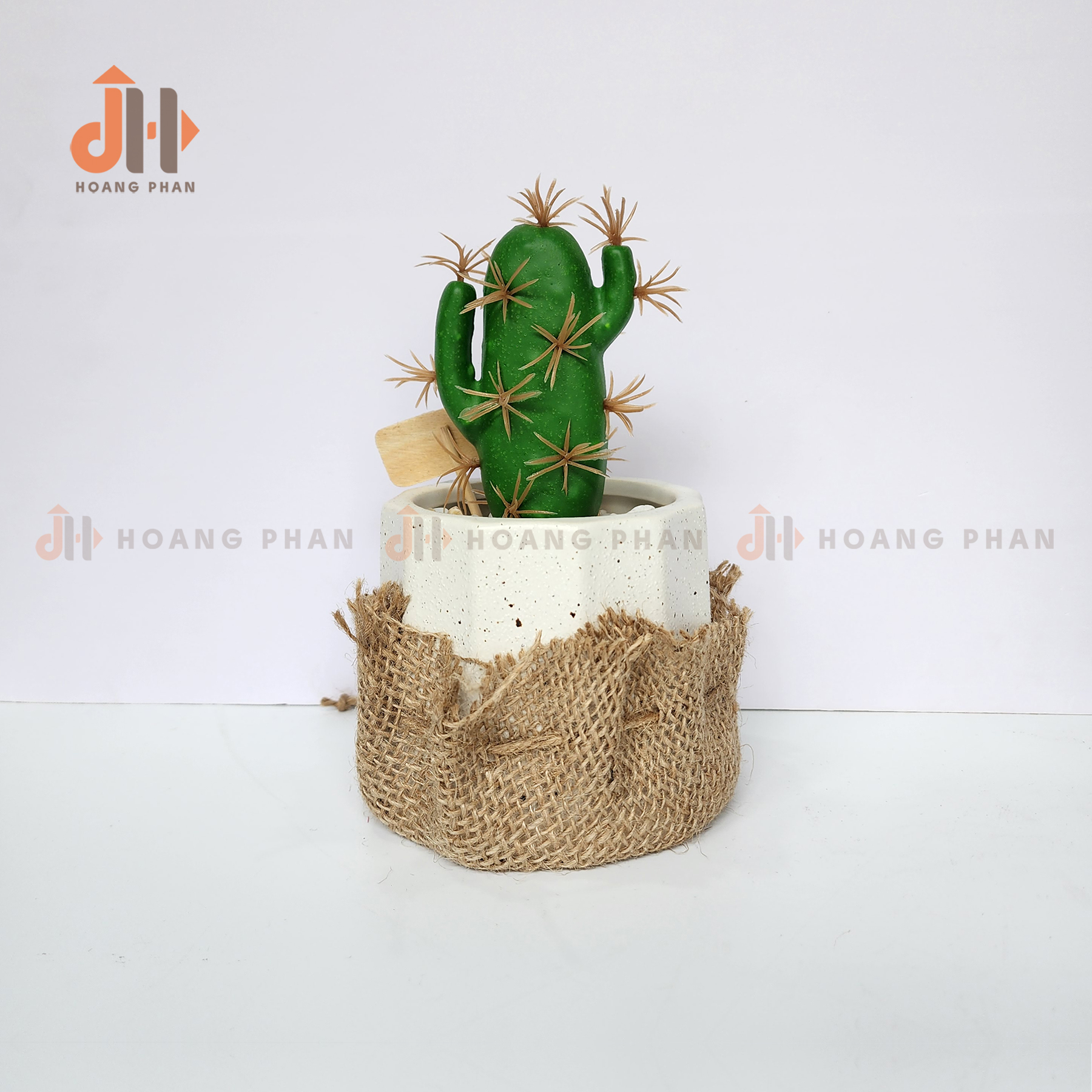 Trụ xương rồng lục giác vĩnh cửu trang trí