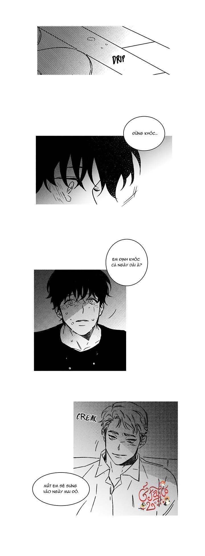 xin hãy yêu tôi chapter 5 8