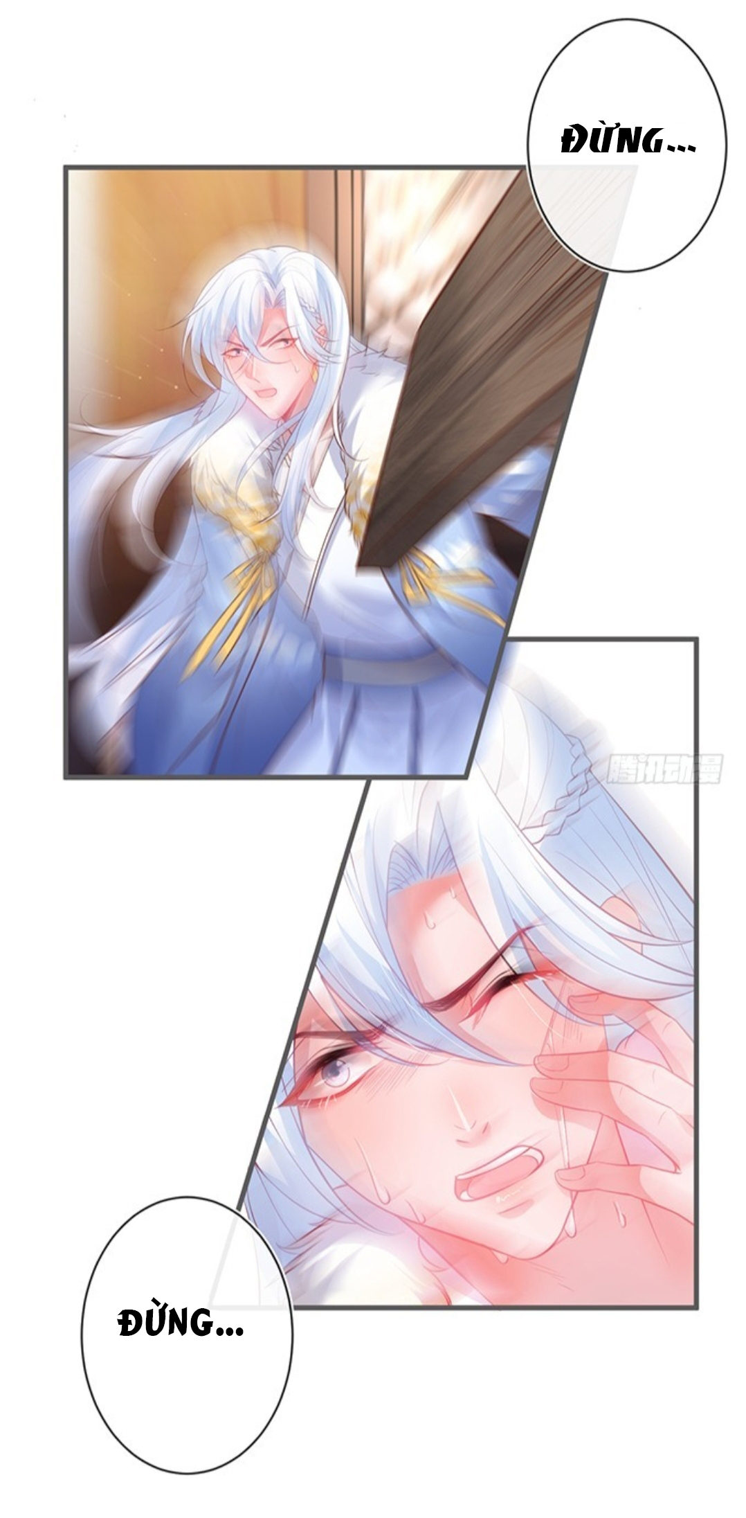 dưỡng khí chí mạng chapter 41 11