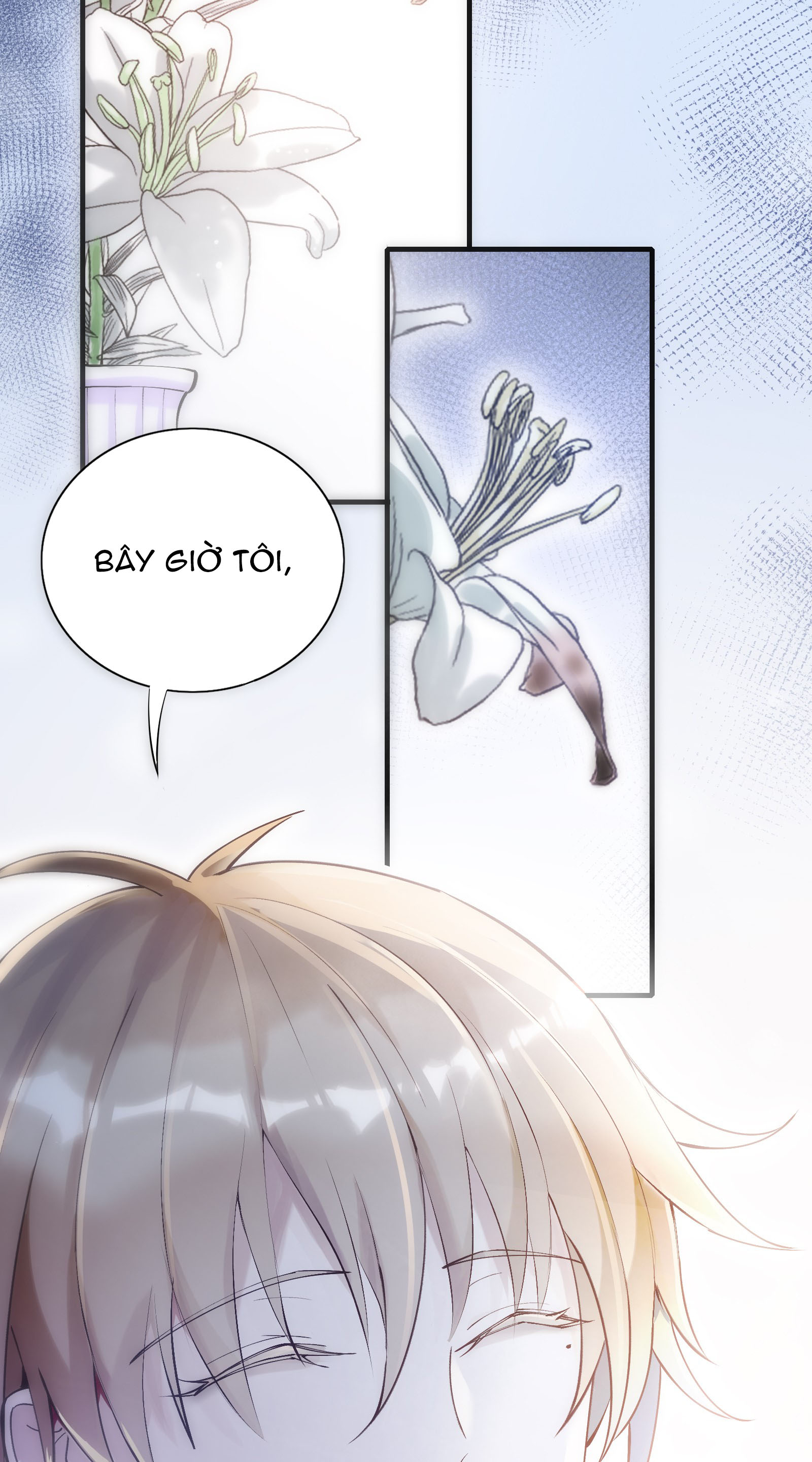 tức thời phạm quy [ tức thì vi quy ] chapter 1 13