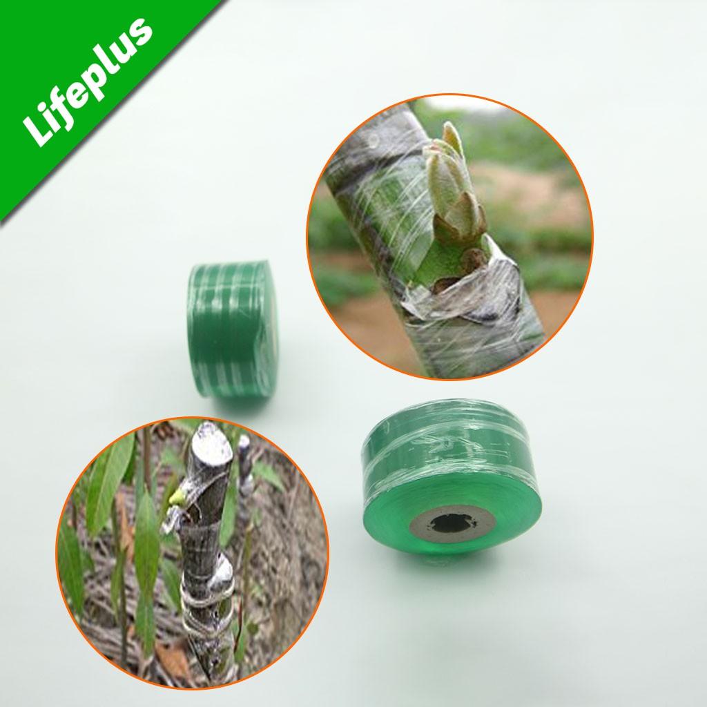 Băng ghép cây xanh