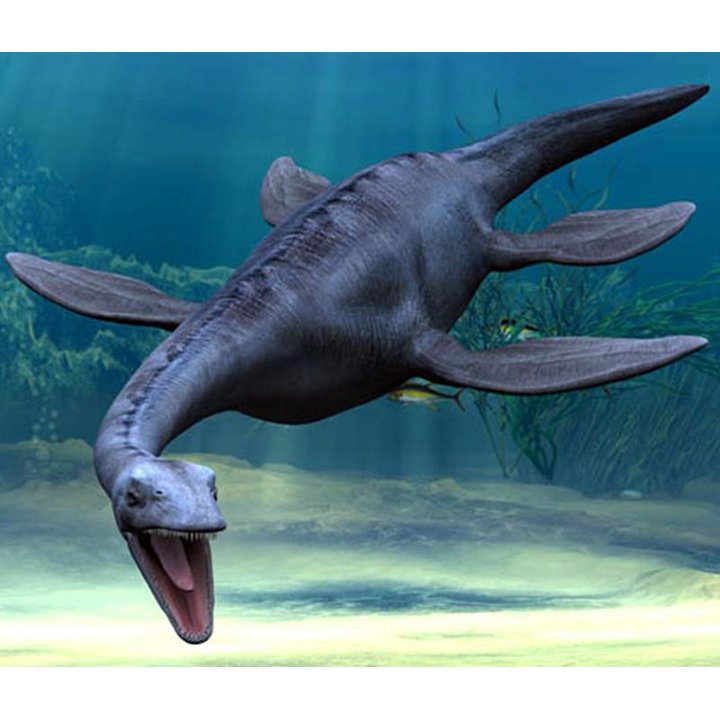 Mô Hình Khủng Long Plesiosaurus Chất Lượng Cao