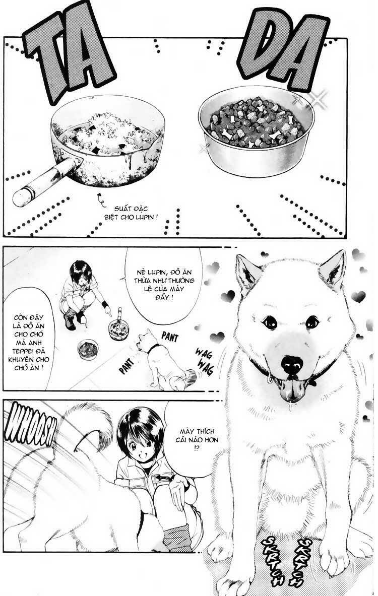 cô nàng yêu chó chapter 3 12