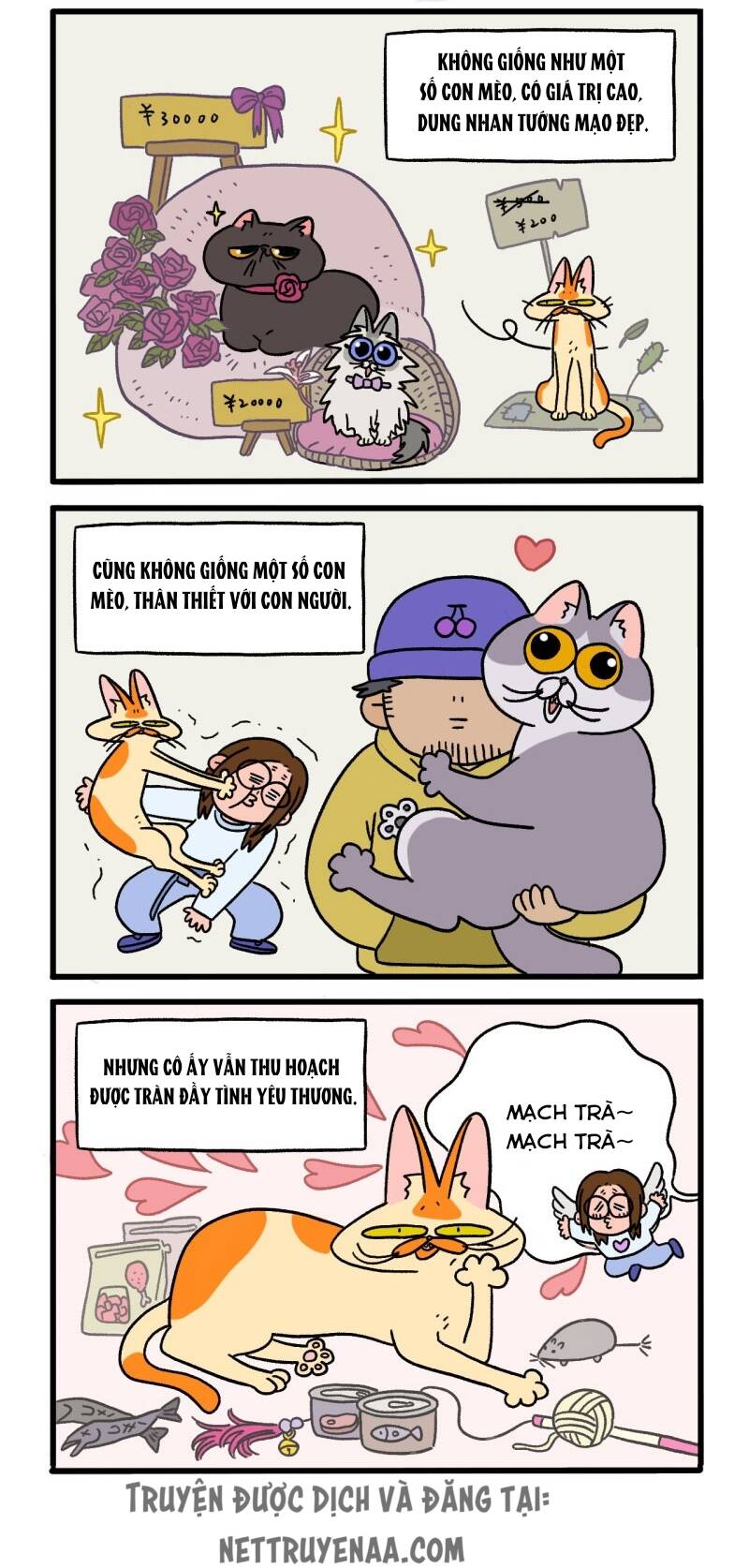 a mãn và mạch trà chapter 2 2