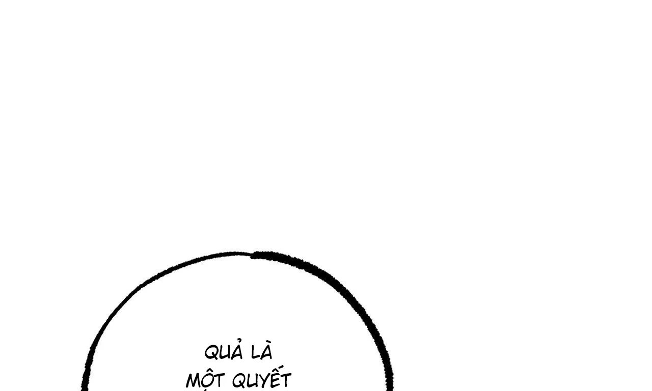 những chú thỏ của hapypy chapter 56 266