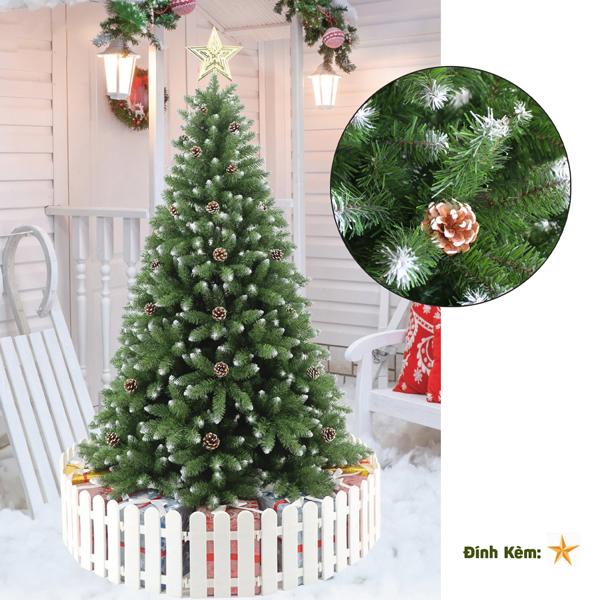 Cây Thông Noel Đầu Nhọn Phun Sơn Gắn Trái Thông 150 cm - Cây Treo - Chaang Chiia LP-TP-5