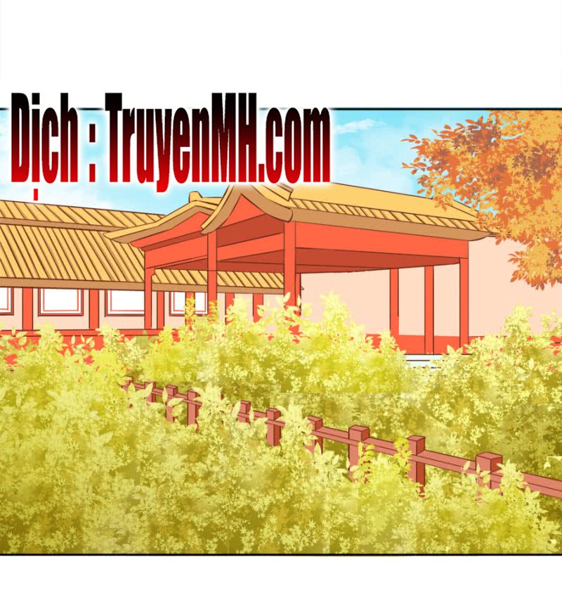 solo đi vương gia chapter 71 1