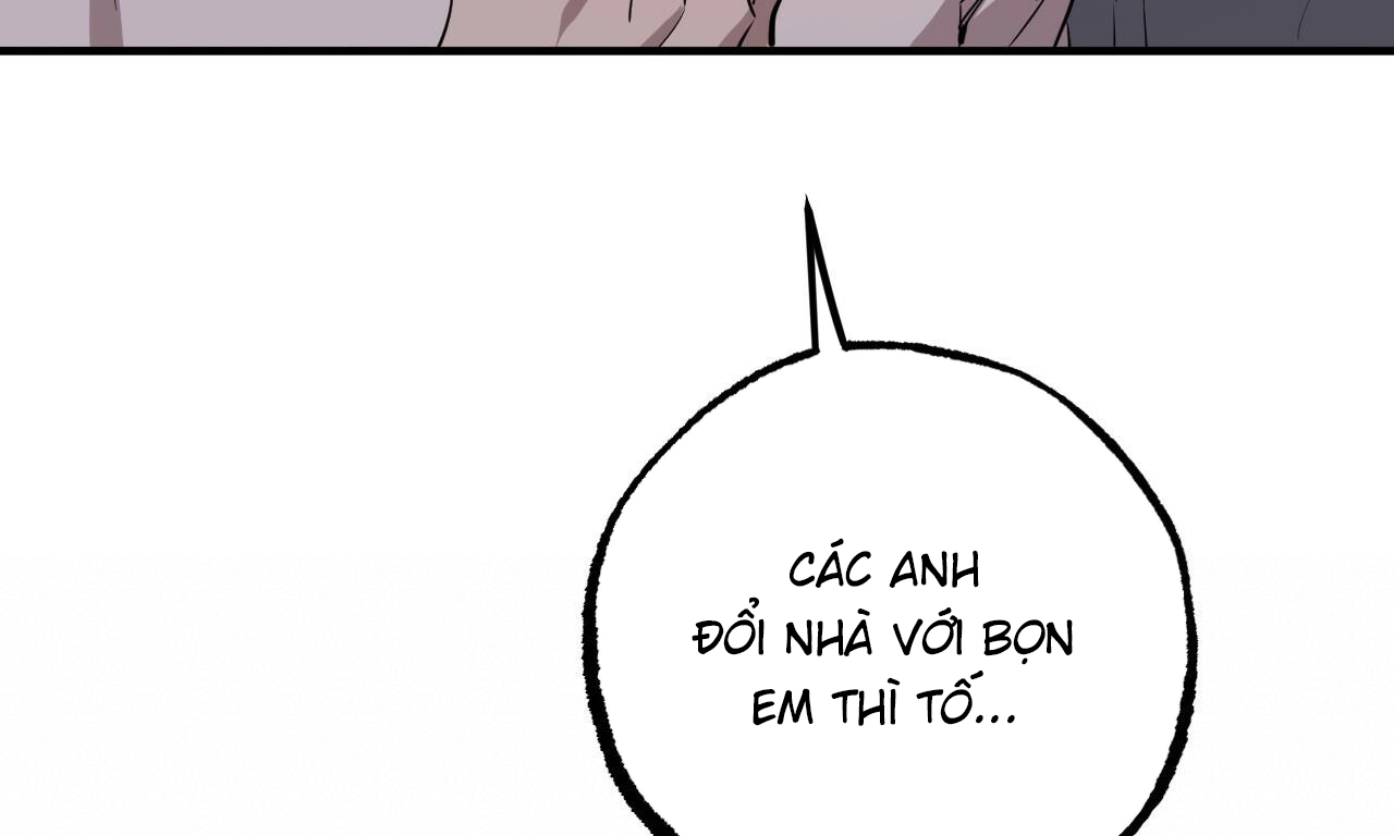 những chú thỏ của hapypy chapter 51 253