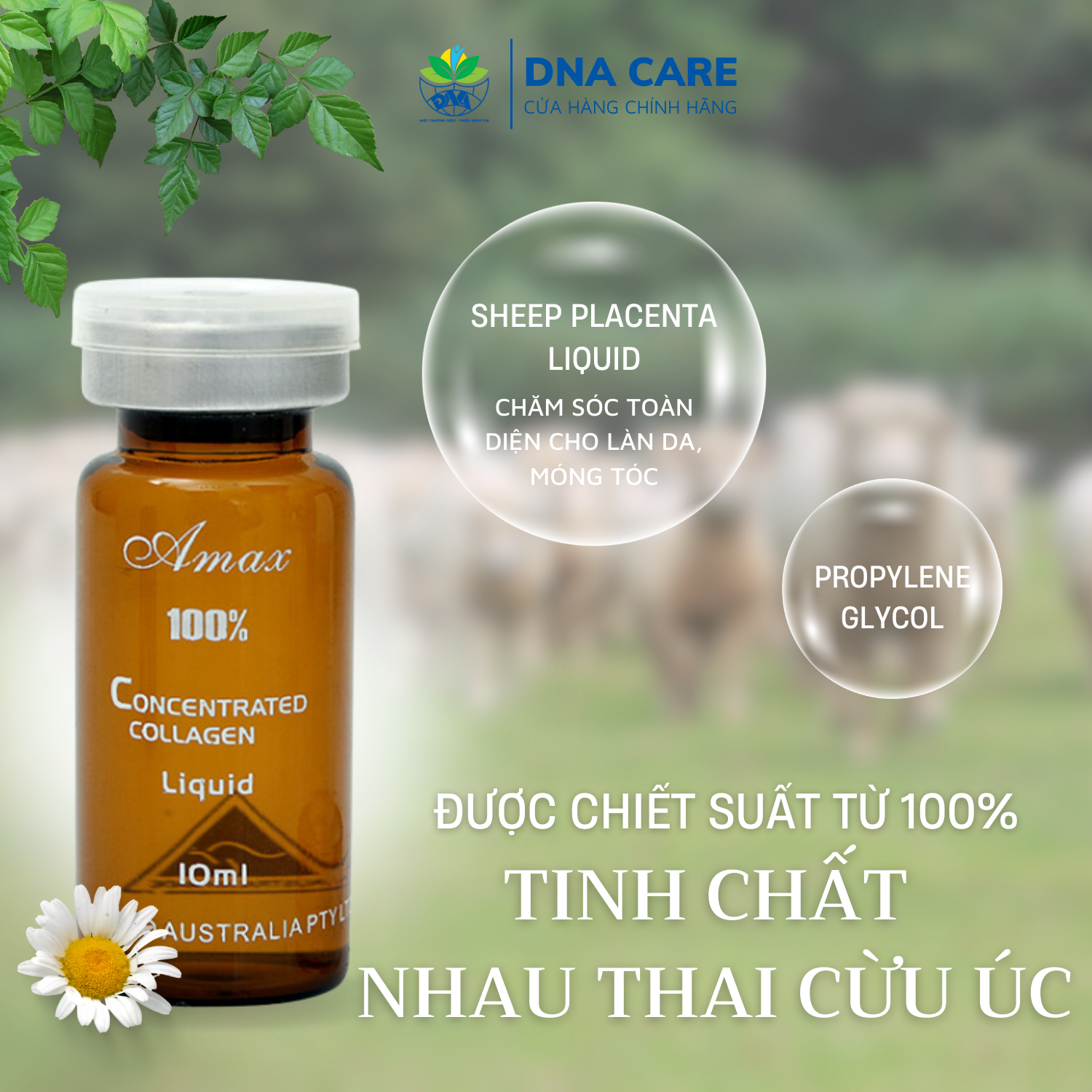 Tinh chất dưỡng da mặt từ tế bào gốc Amax combo 3 lọ 10ml 1 hộp