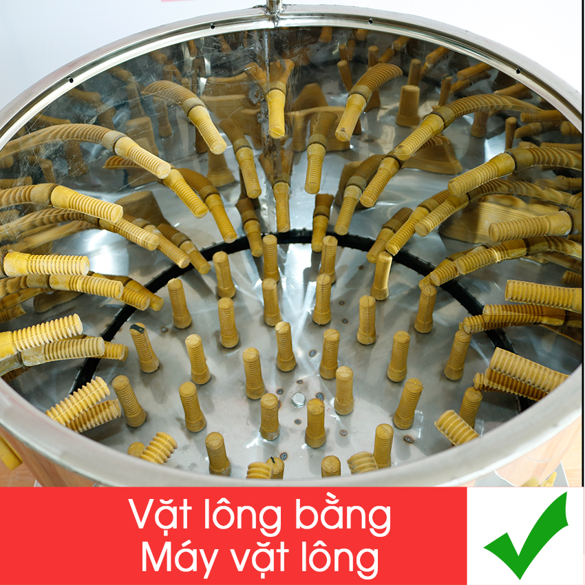 Máy Vặt Lông Gà Vịt Việt Nam NS 50