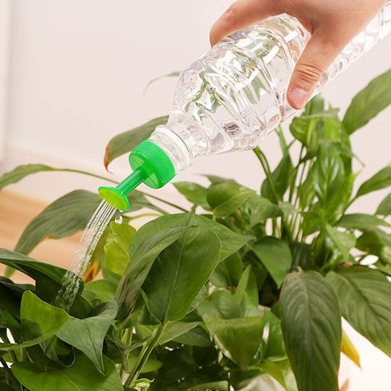 Bộ 5 đầu tưới hoa sen gắn chai nước