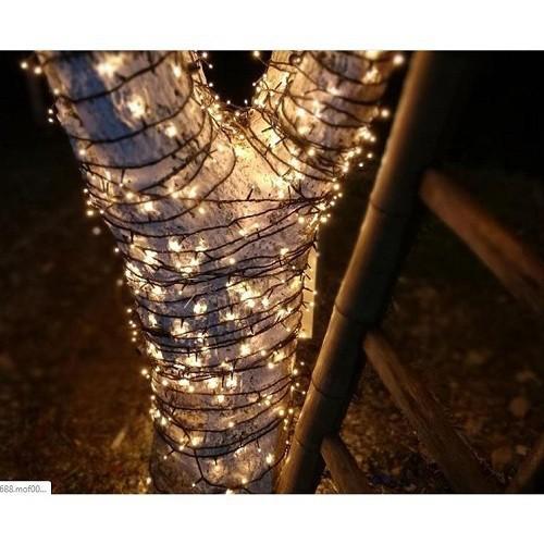 DÂY ĐÈN NHÁY LED 50M KIM CƯƠNG