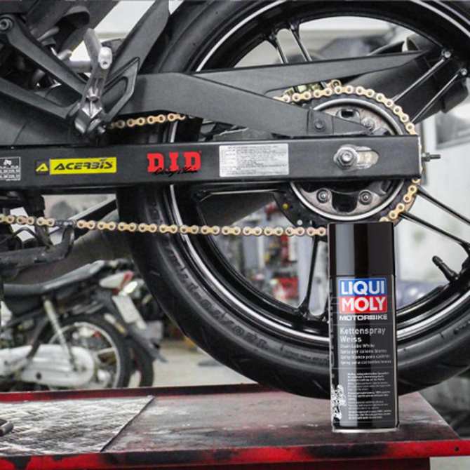 Chai vệ sinh sên Liqui Moly 1602 500ml