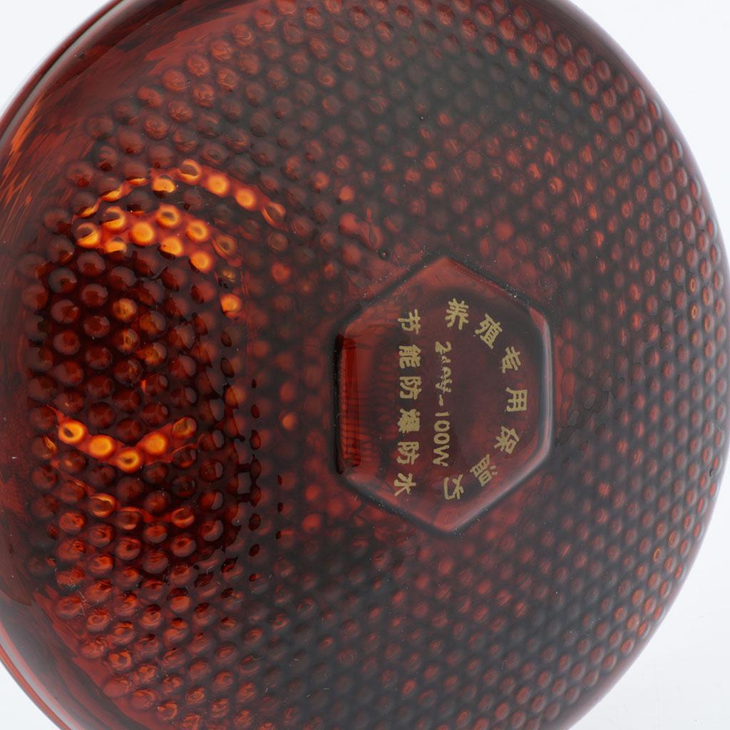 Waterproof E27  Bulb Breeding Lamp Infrared Heater Bulbs 100W