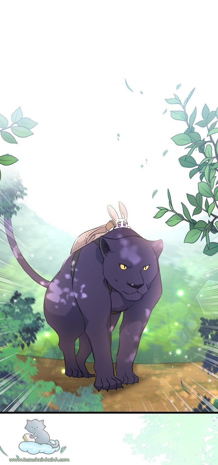 quan hệ cộng sinh giữa báo đen và thỏ trắng chapter 61 25